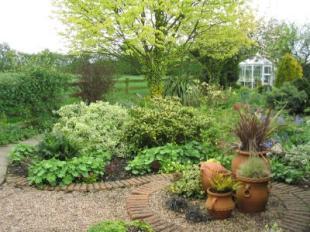 Garden view