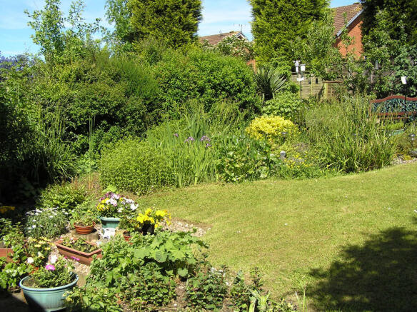 Photo 20