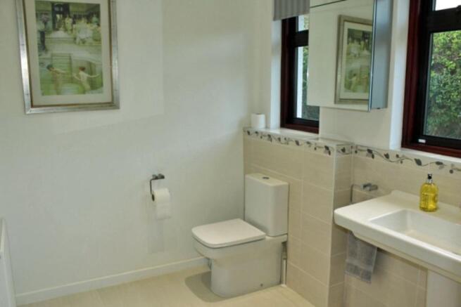 Shower Room / WC