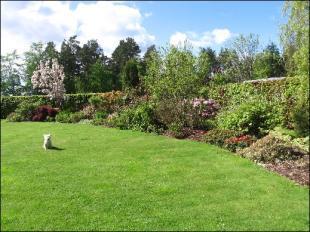 Garden front