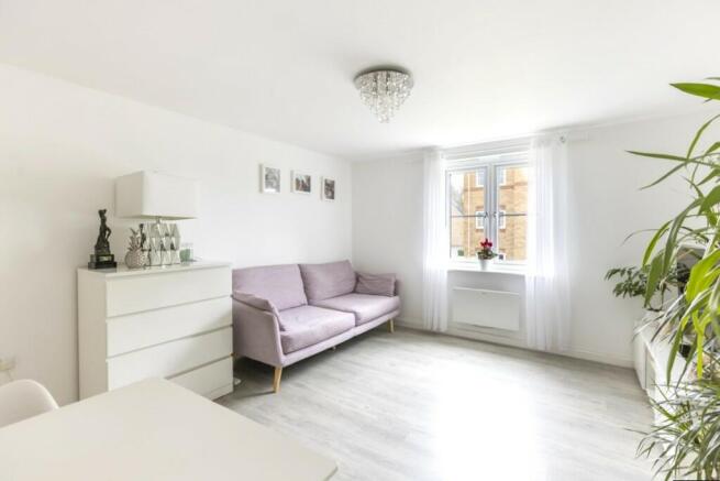 Lounge / Dining Room