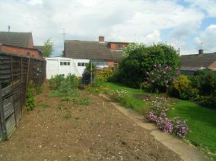 Vegetable Patch