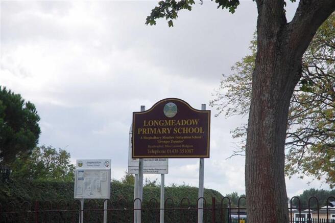 Local Information an
