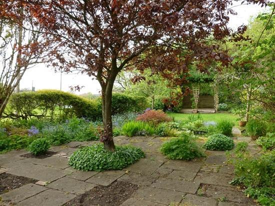 Garden 2