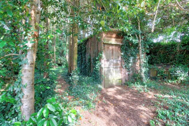 Woodland walk