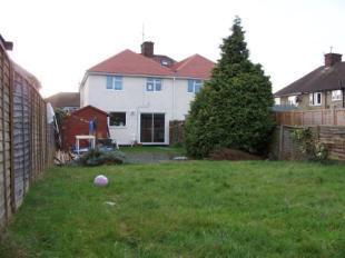 Rear Aspect