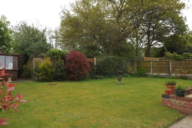 Garden.
