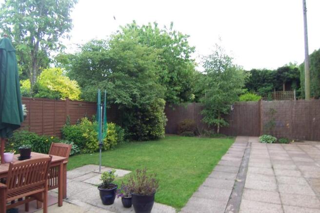 Photo 15