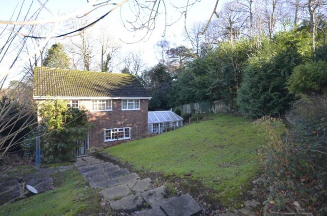 Back Garden