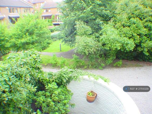 Garden In Spring :-)