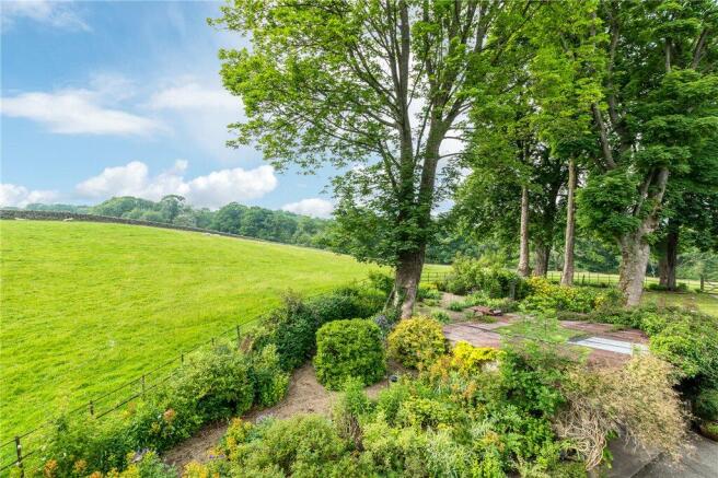 Countryside Views