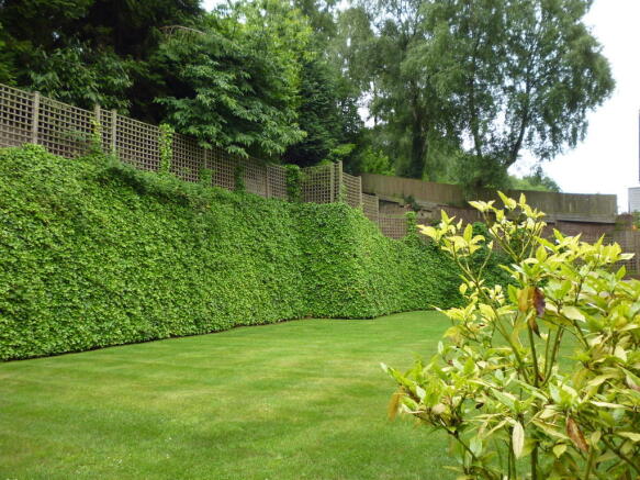 Communal Garden