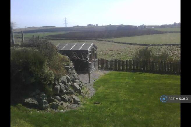 Back Garden
