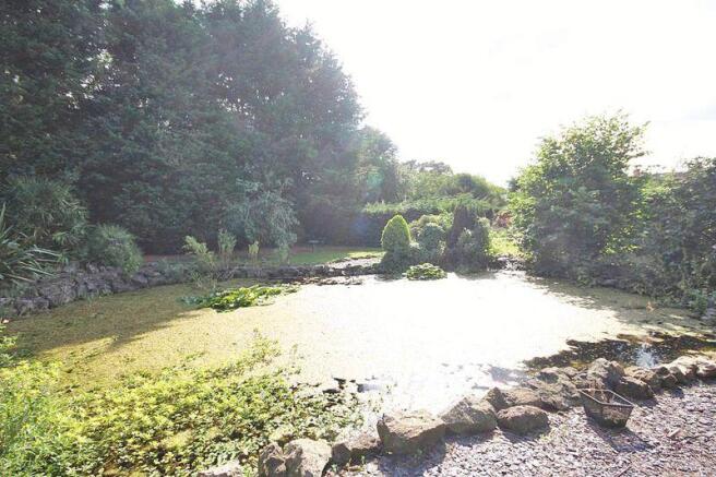 Pond
