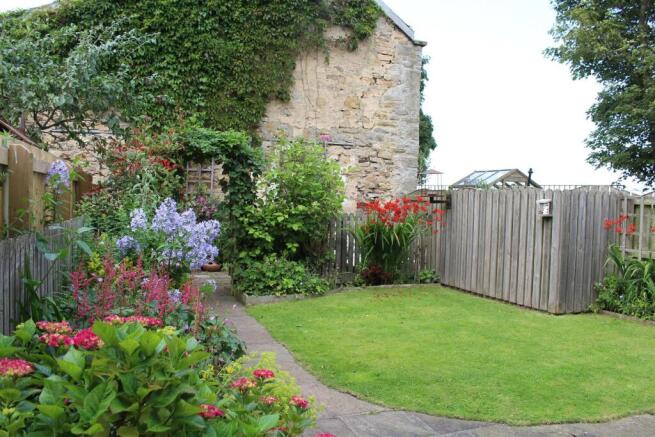 garden.JPG