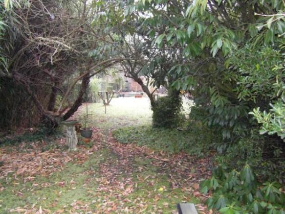 Rear Garden 3