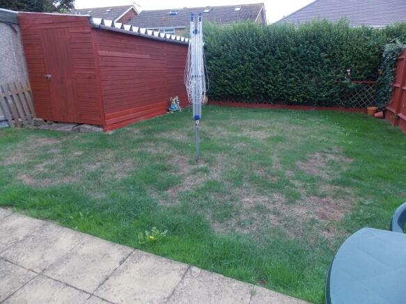 Rear garden x2