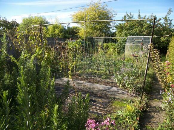 Vegitable Garden
