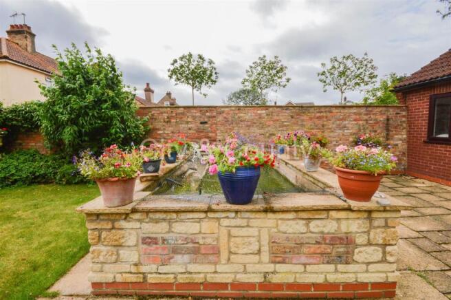 pond feature.jpg