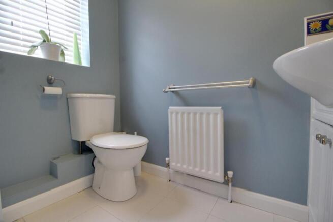 Picture 8