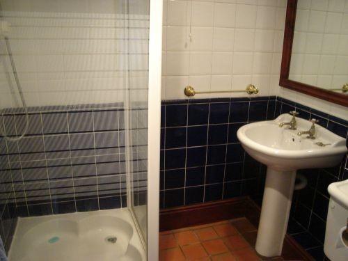 downstairs shower