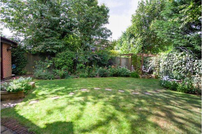 Mature Garden