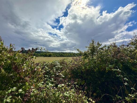 view over the hedge