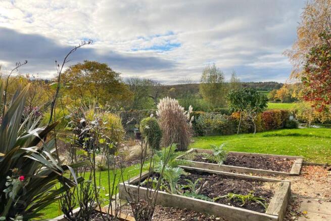 Raised Beds
