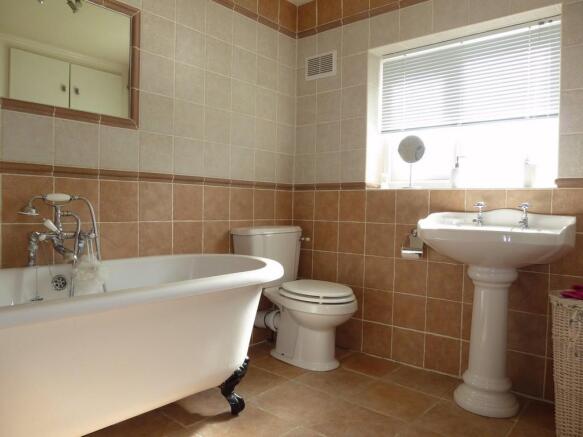 Photo 7