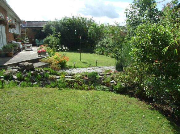 Photo 15