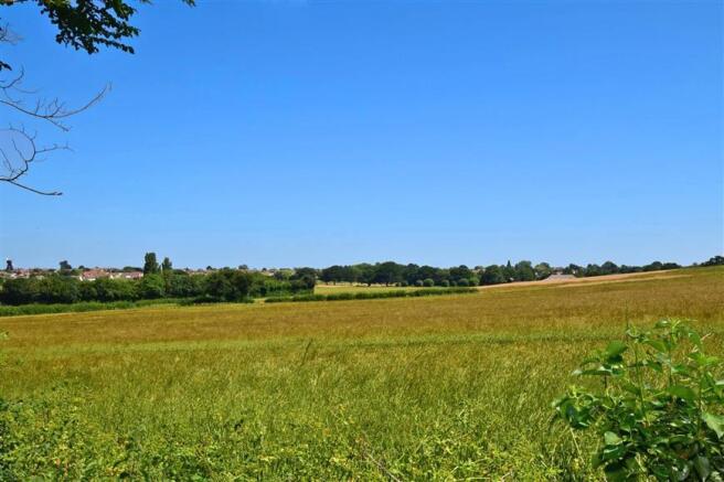 Surrounding Area
