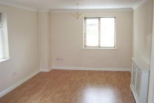 Living / Dining Room