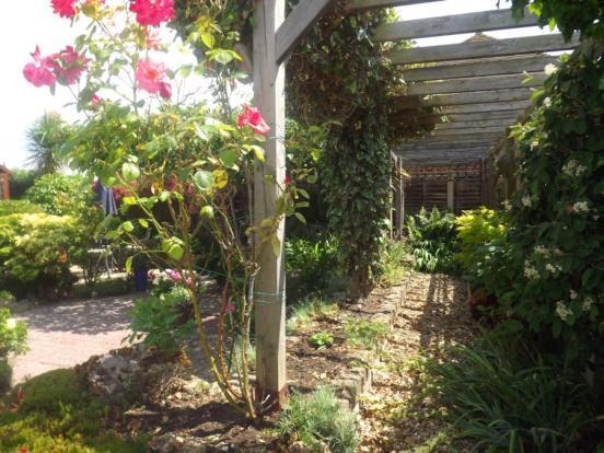 Garden  .