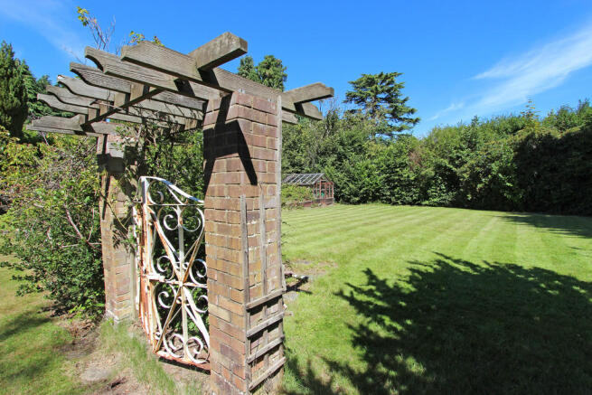 Photo 20