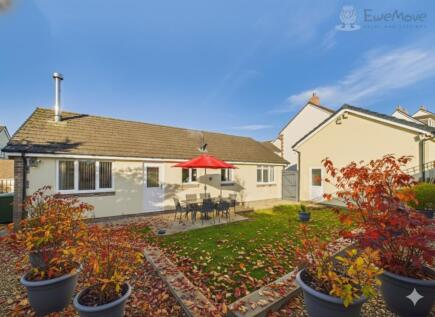 Raleigh Mead, South Molton, Devon, EX36