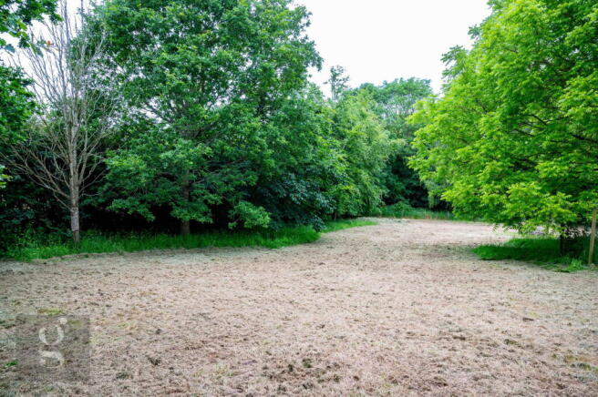 Photo 32