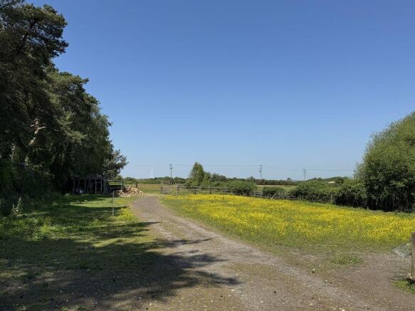 Field