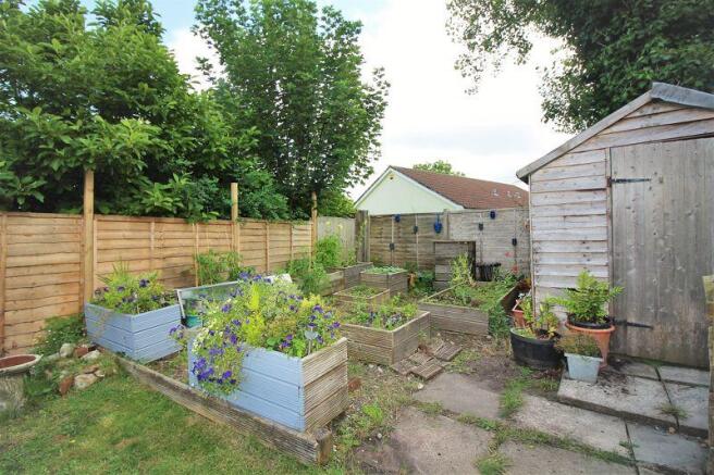 Vegetable Garden