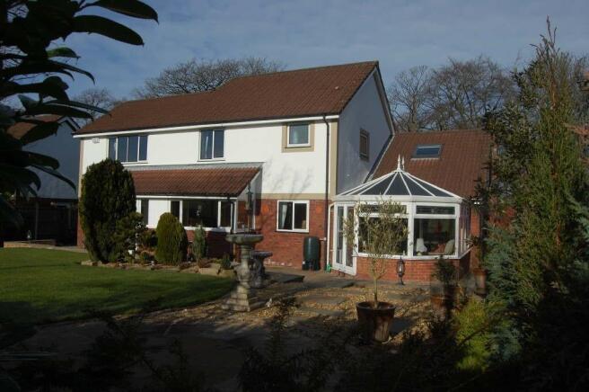 Rear Elevation