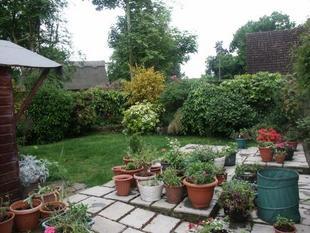 Photo 10