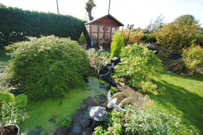 Garden 4