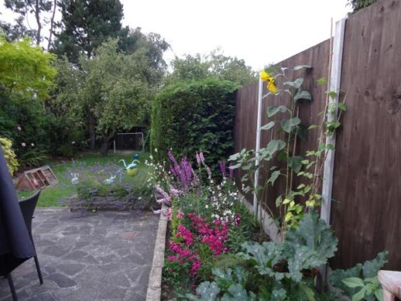 Photo 15