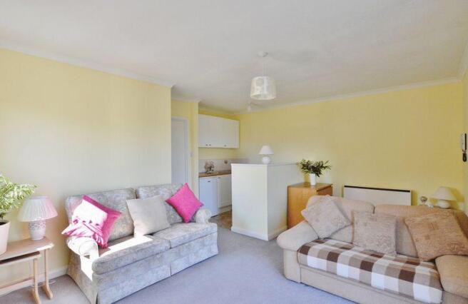 Open plan livi...