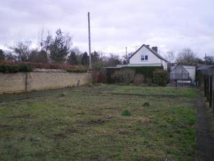 Rear Aspect