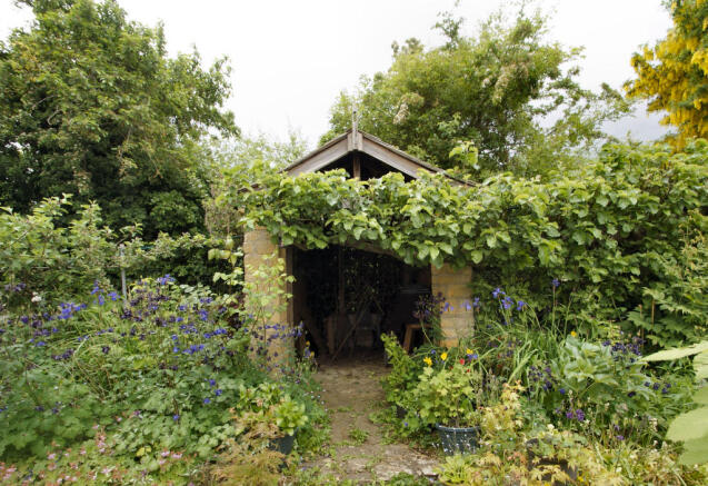 Photo 11