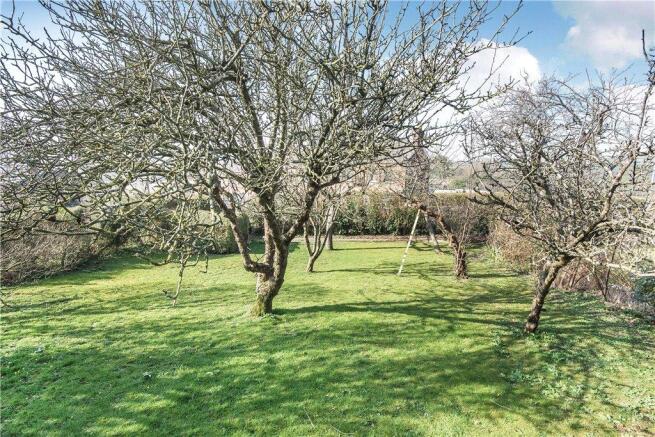 Orchard