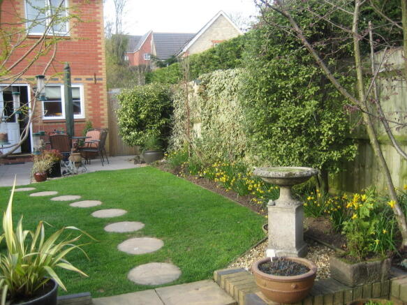 Photo 7