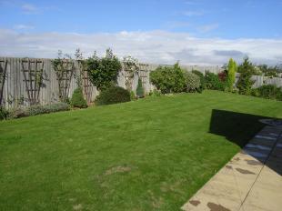 Garden 2
