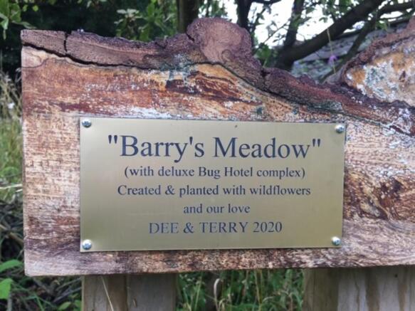 Wildlife garden