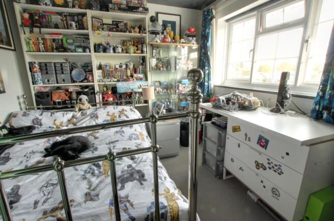 Photo 11